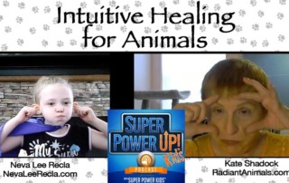 Intuitive Healing for Animals with Kate Shadock